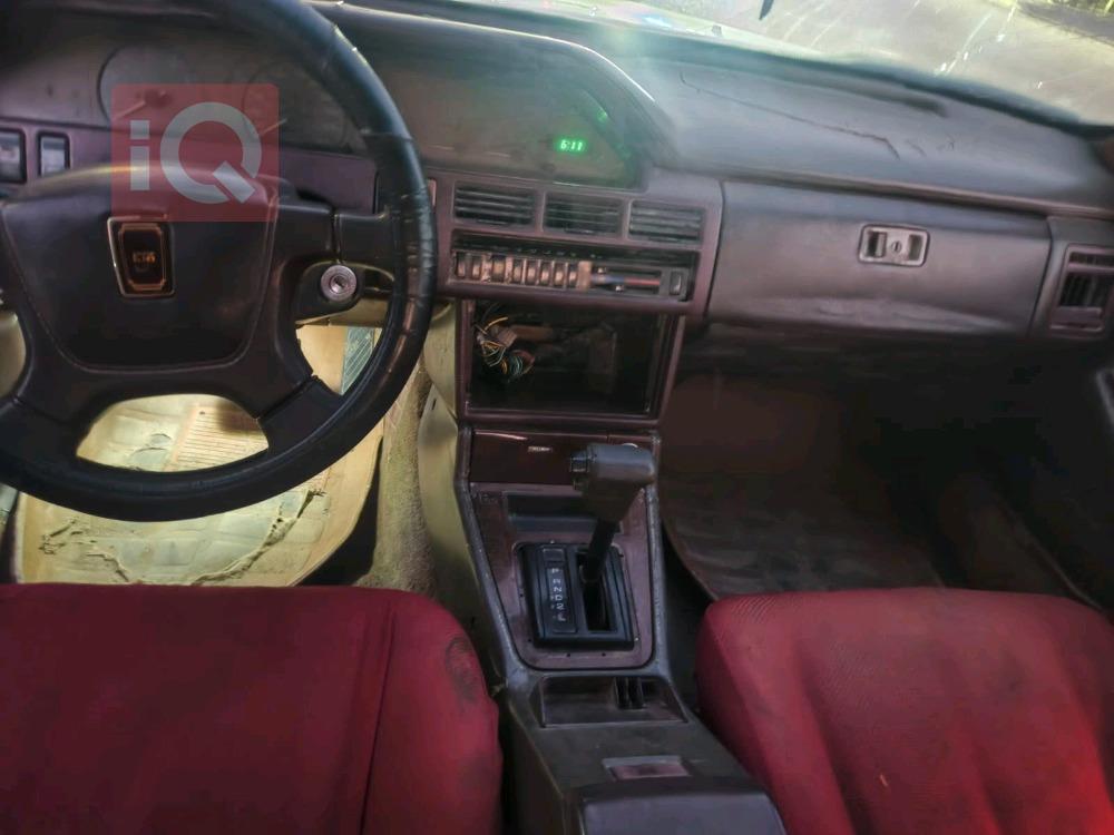 كيا بوتينشيا